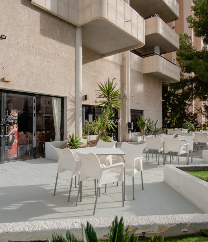 Terraza al sol con plantas