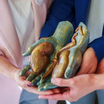 Manos sosteniendo una escultura de corazón y riñón humano en tonos verdes, dorados y marrones.