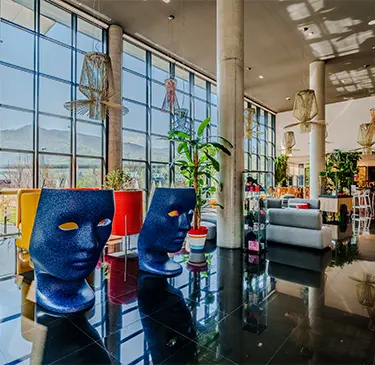 Área moderna con sillas originales en forma de rostro, plantas y grandes ventanales iluminados.