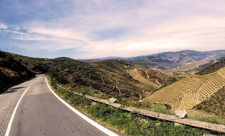 Carretera rodeada de colinas y viñedos bajo un cielo despejado.