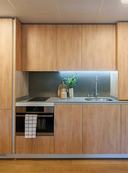 Cocina moderna con gabinetes de madera, estufa, fregadero y planta decorativa.