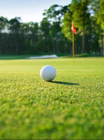 Pelota de golf sobre el green, cerca del hoyo con una bandera roja al fondo.