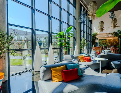 Sala moderna con sofás grises, cojines de colores y plantas junto a ventanales grandes.