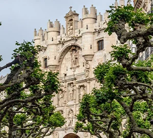 Edificio histórico de piedra con árboles en primer plano bajo un cielo nublado.