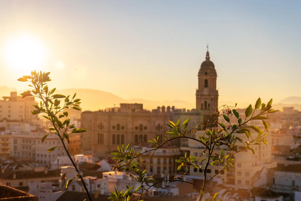 malaga