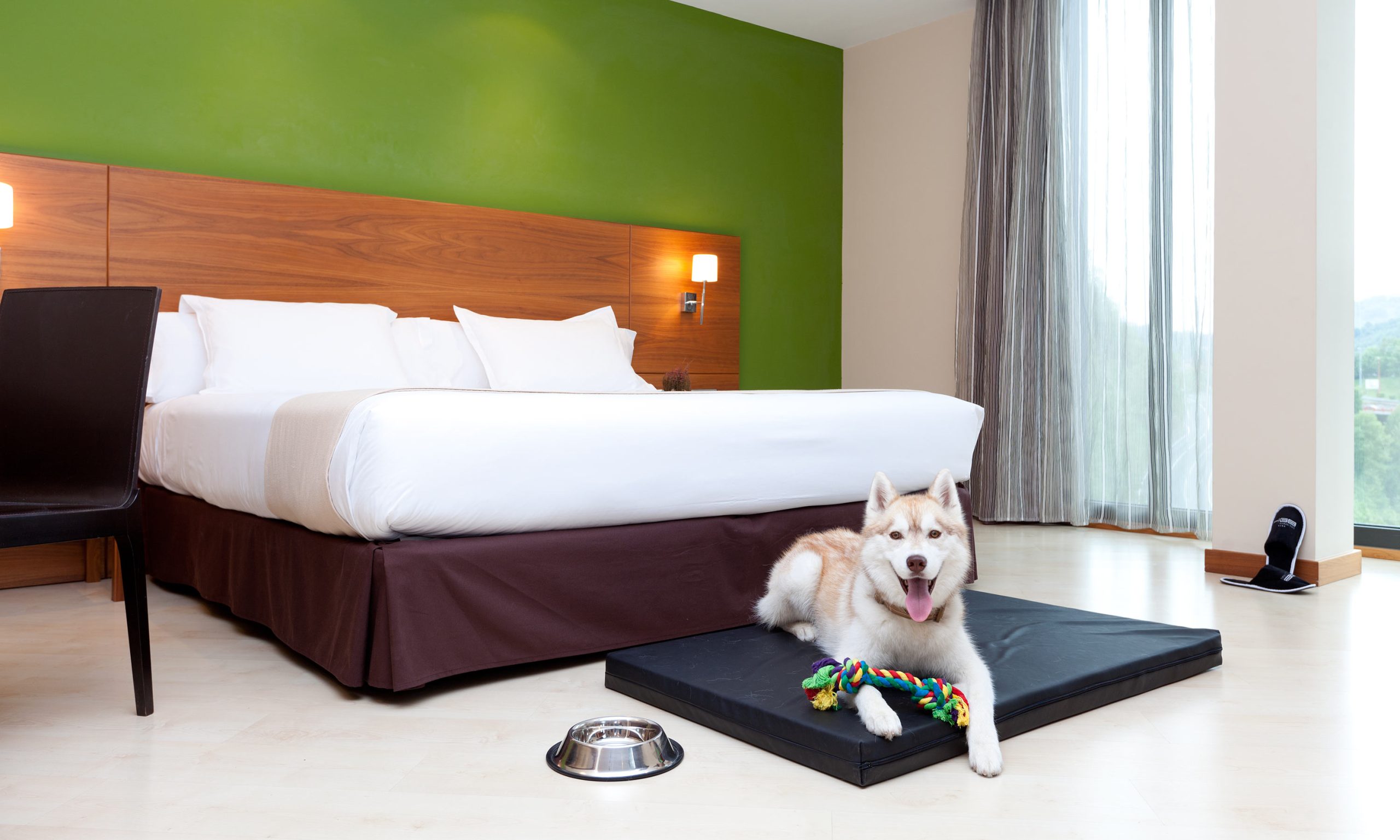 No sin mi mascota: Actividades para hacer en Bilbao con nuestro perro - Spirit Hotels&amp;Apartments