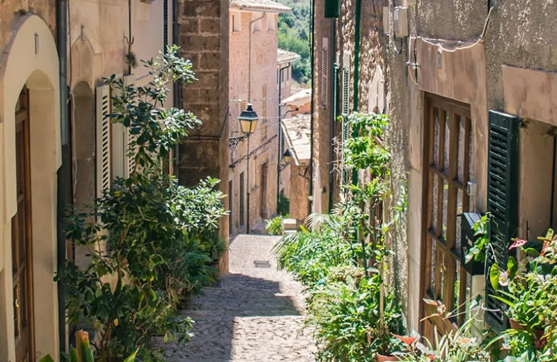 Callejón estrecho y empedrado rodeado de edificios antiguos y plantas en macetas.