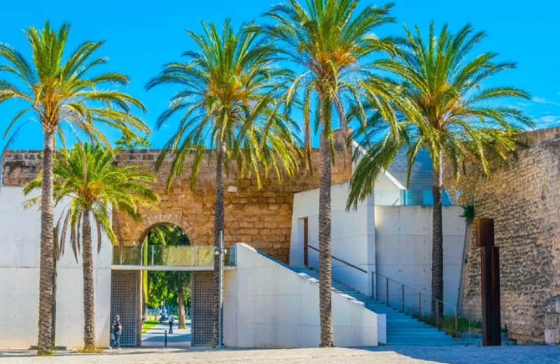 Palmeras frente a una antigua muralla de piedra con un arco y una escalera moderna.