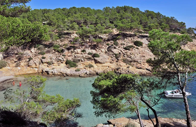 Cala rodeada de pinos con agua turquesa y un bote, unas personas en la playa.