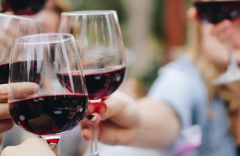 Personas brindando con copas de vino tinto en un ambiente festivo al aire libre.