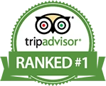Insignia de TripAdvisor con un búho y texto "Ranked #1".