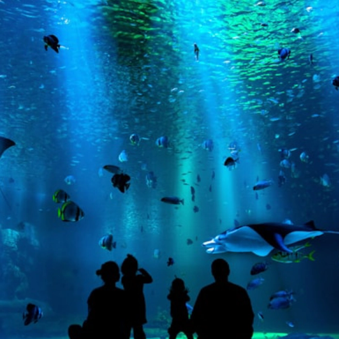 Nuria Hotel Condor - Nura Hotels