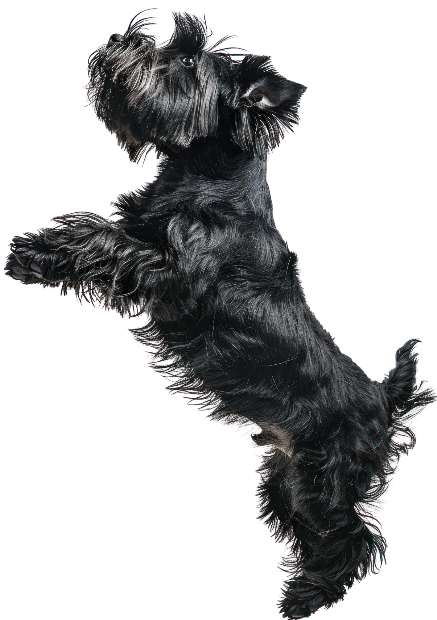 Claudia by Nura - Nura Hotels