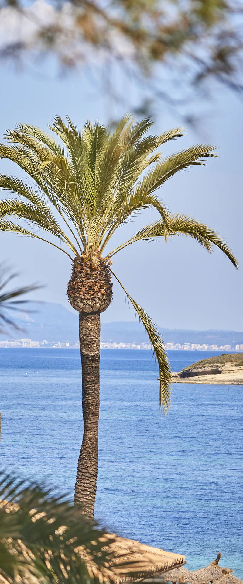 Nura Houses Magaluf - Nura Hotels