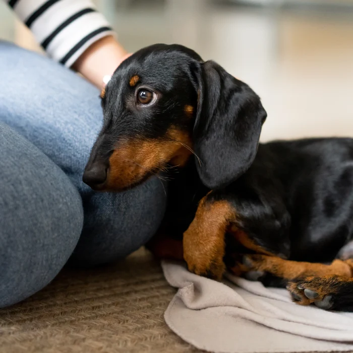 Servicios - Nura Houses Magaluf Beach - Nura Hotels