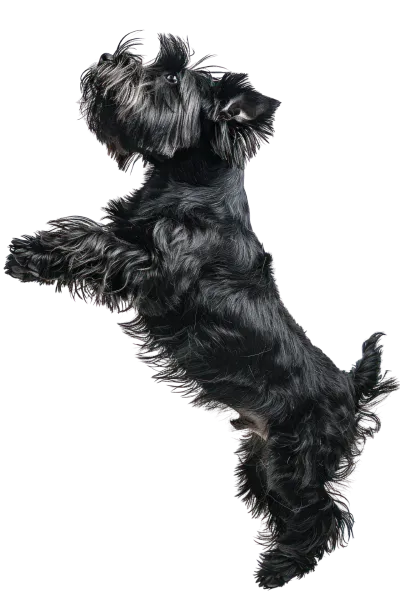 Servicios - Nura Hotel Santa Ponsa - Nura Hotels