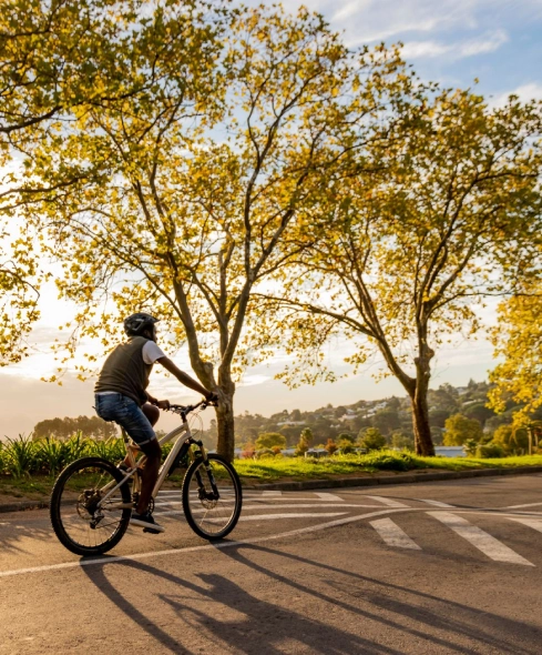 Cyclist rides under sunny sky with autumn trees lining the road.