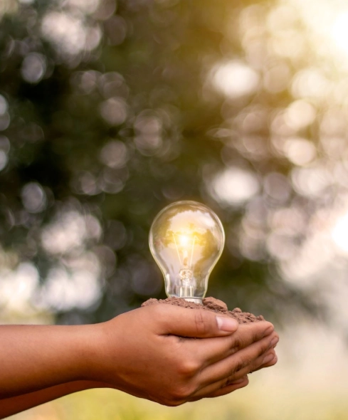Hands holding a glowing lightbulb with a blurred green background.