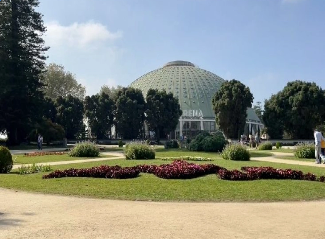 Home - Hotels 705 | Porto | Official Website