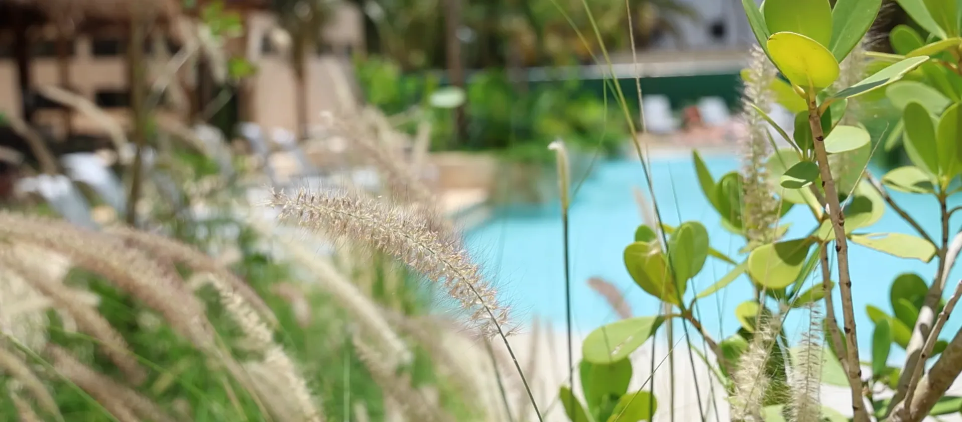 Ofertas - Calypso Cancun