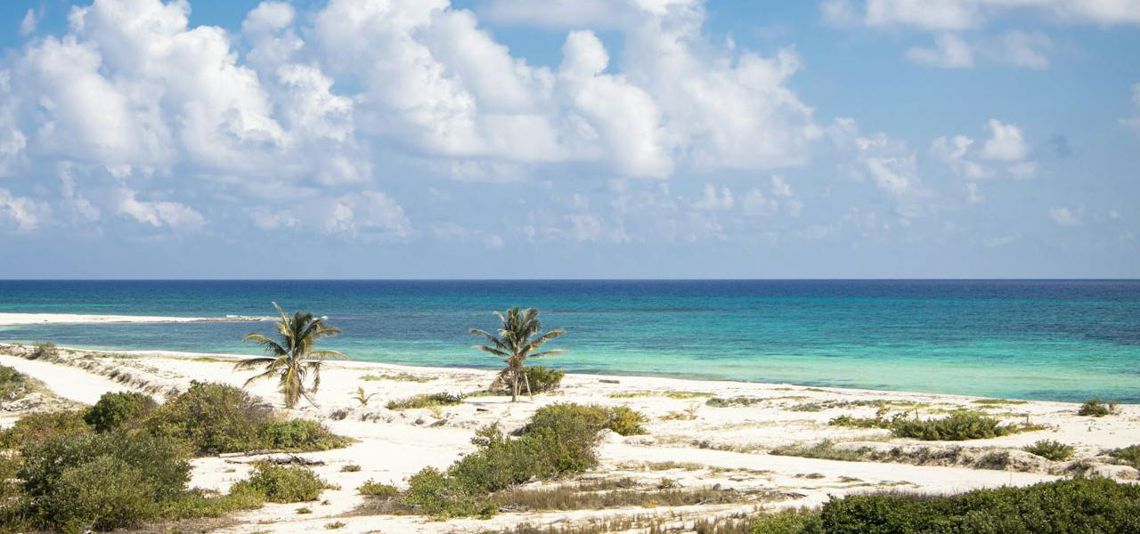 Calypso Cancun