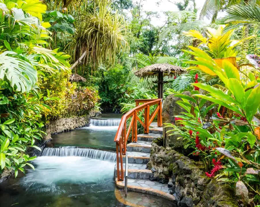 Location - Hotel Presidente