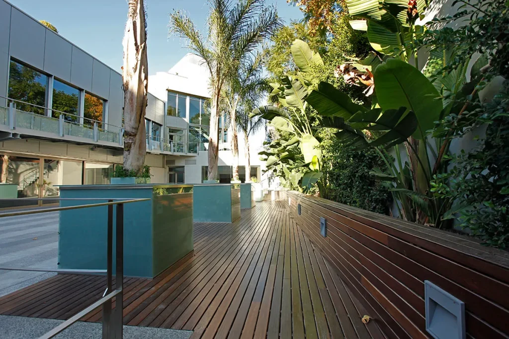 Área al aire libre moderna con suelo de madera, plantas altas y edificio de fachada de vidrio en el fondo.