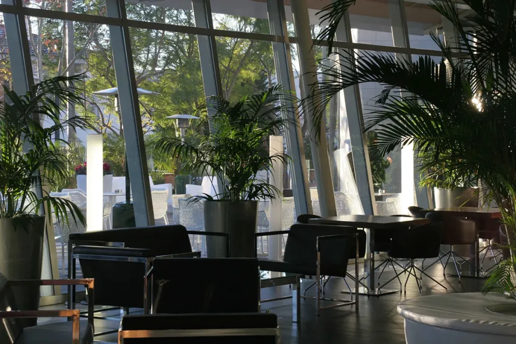 Sala moderna con sillones negros y mesas, rodeada de plantas grandes y ventanales que dejan entrar luz natural.