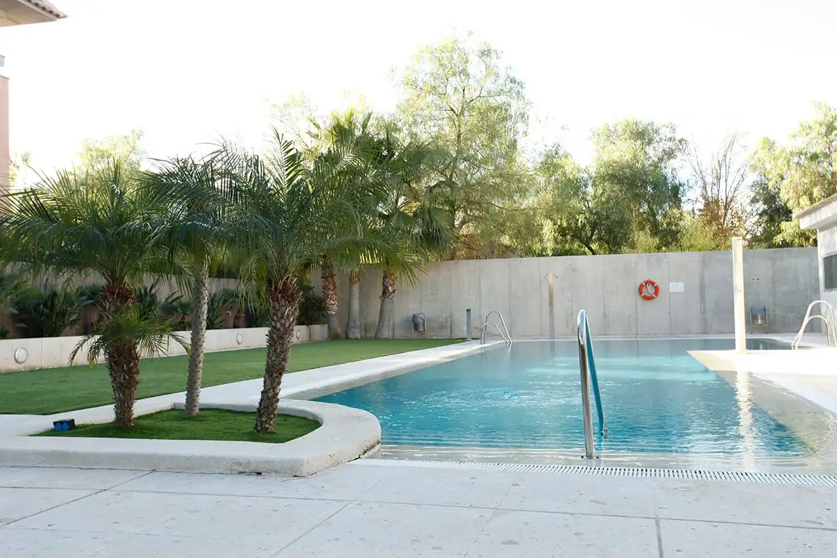 Piscina rodeada de palmeras y césped, junto a una pared de concreto. Día soleado y agua cristalina.