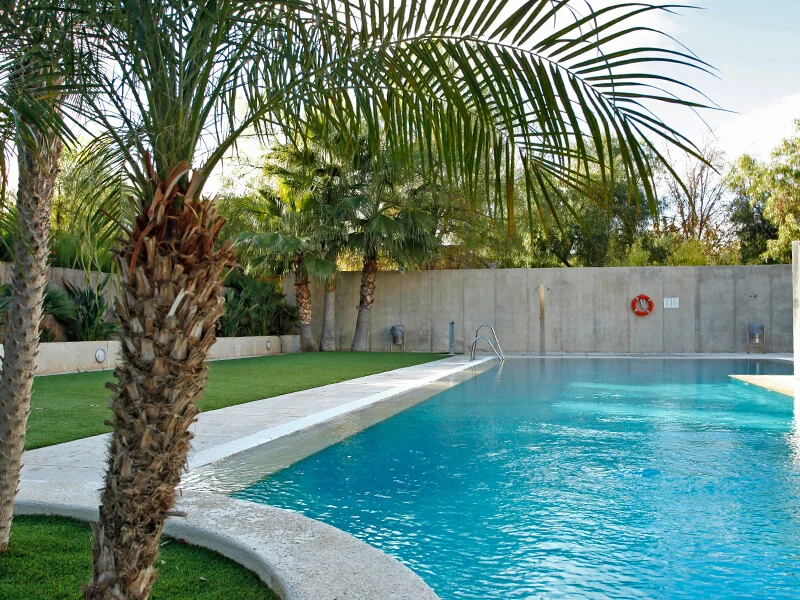 Piscina rodeada de palmeras y césped, con una pared de concreto al fondo y un salvavidas naranja colgado.