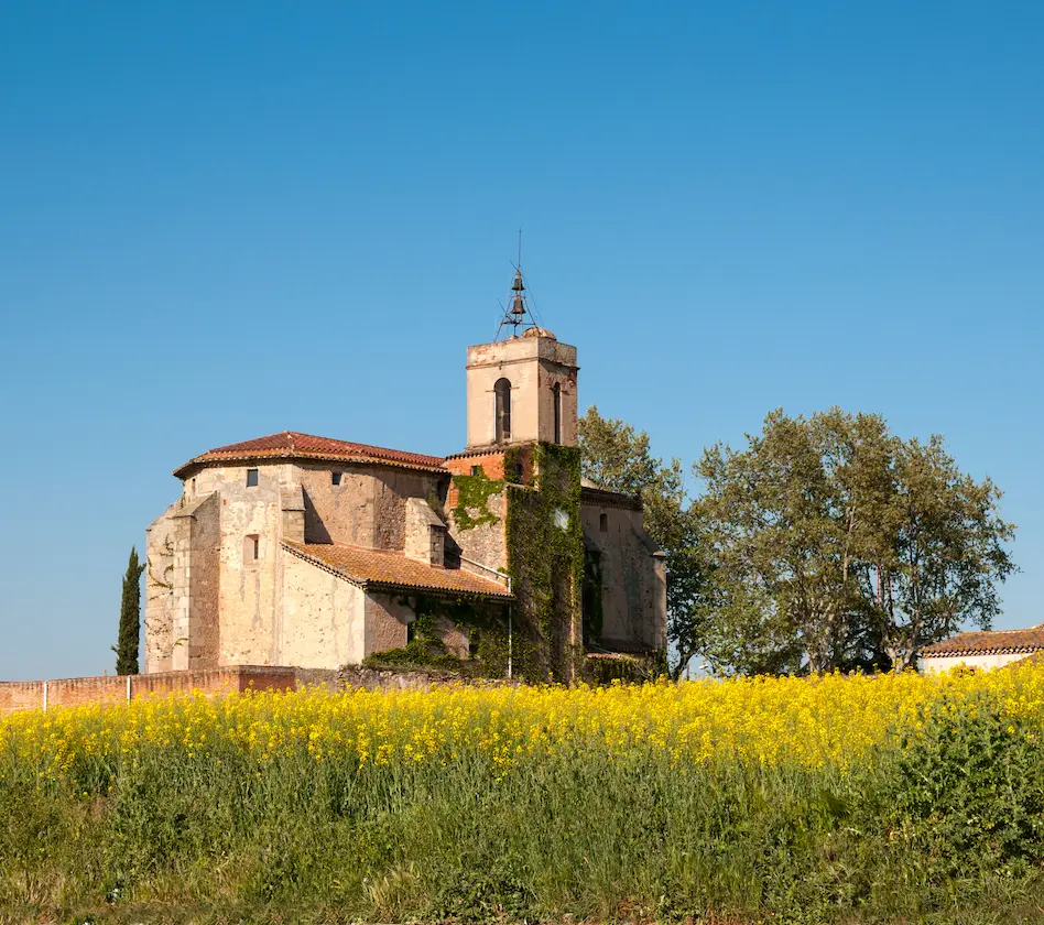 Iglesia antigua rodeada de vegetación y flores amarillas, con cielo azul despejado al fondo.
