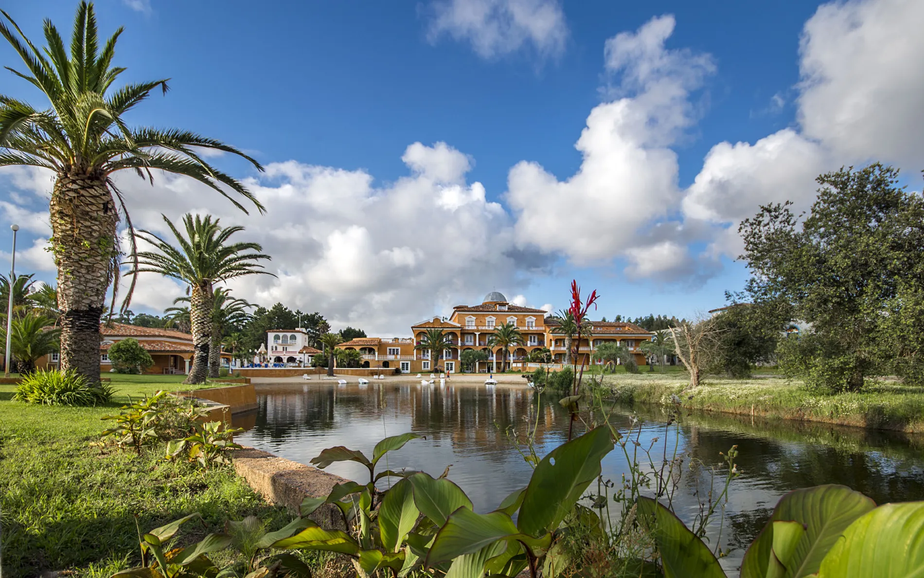 Luxurious villa with palm trees and a pond under a bright blue sky with fluffy clouds.