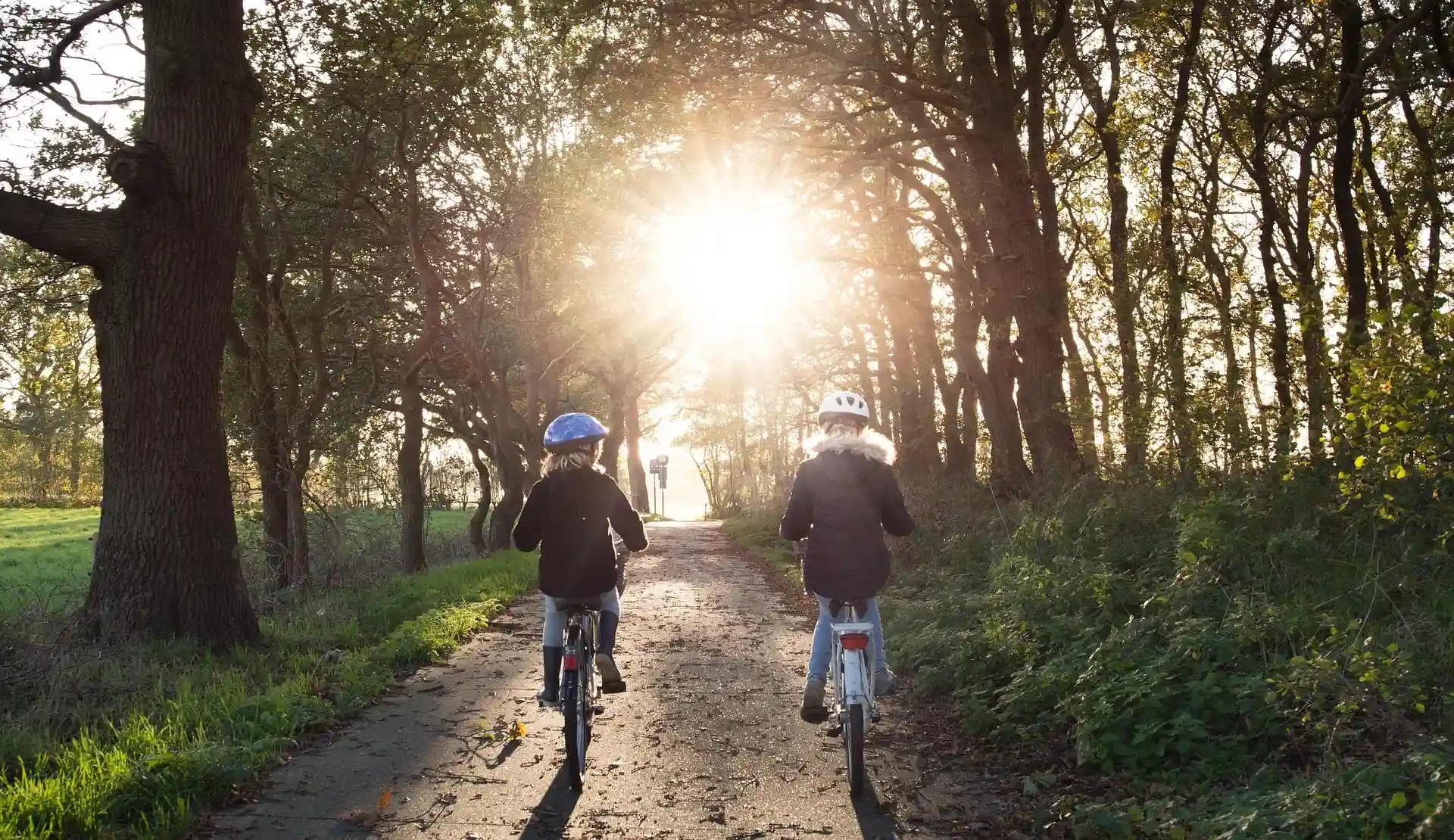 Two cyclists ride under trees with sunlight streaming through.