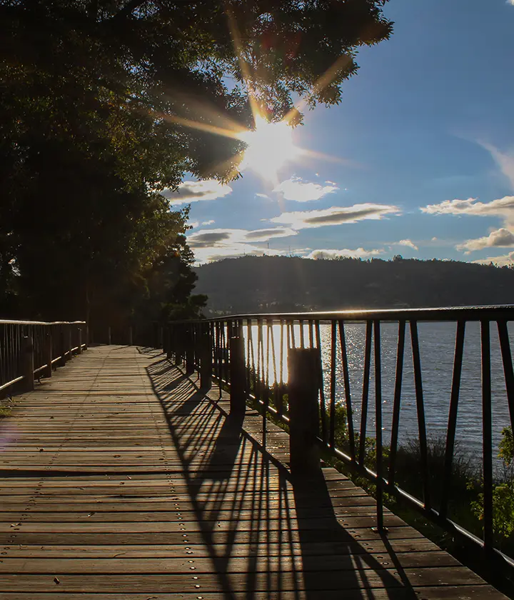 Pasarela de madera junto a un lago al atardecer, con árboles y el sol brillando en el agua.