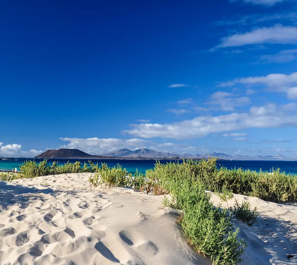 Playa con arena blanca, arbustos verdes y mar azul bajo un cielo despejado y montañas al fondo.