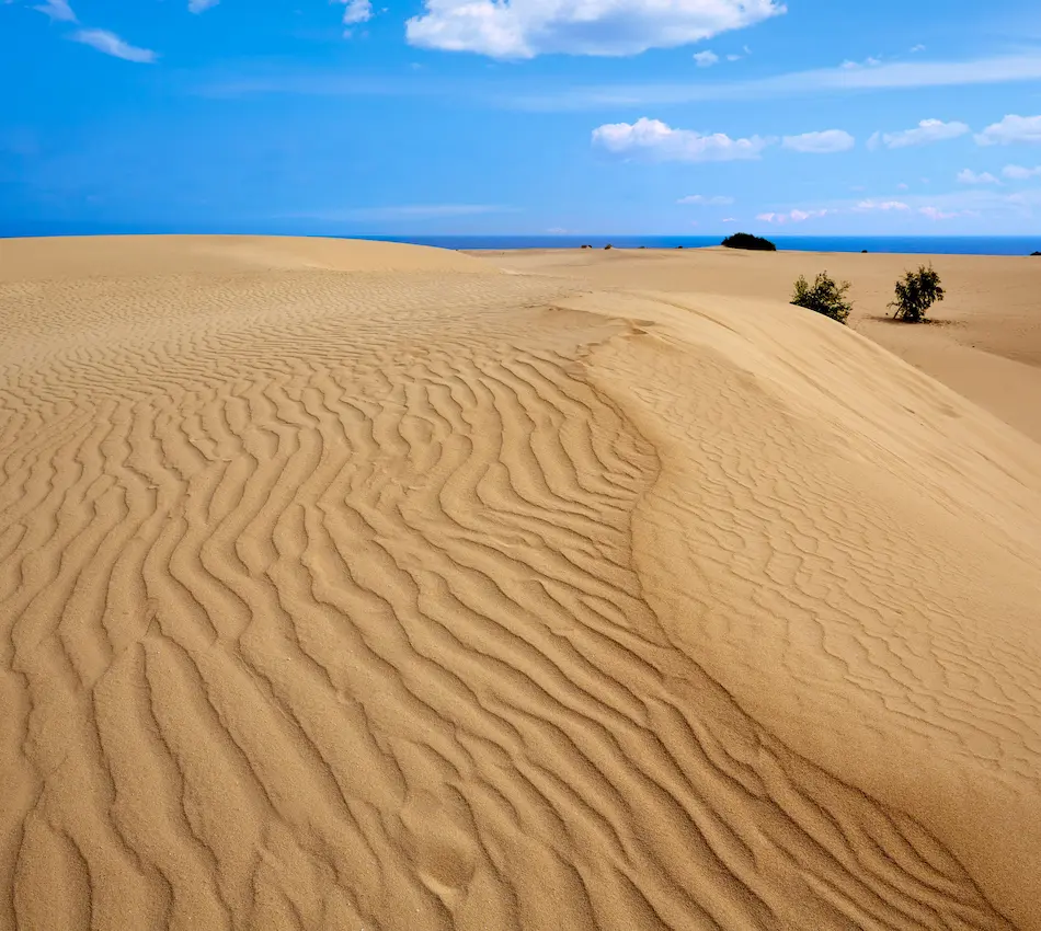 Dunas de arena con textura ondulada bajo un cielo azul con algunas nubes, y arbustos dispersos en el horizonte.
