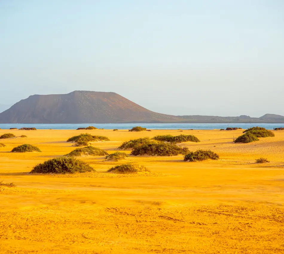 Desierto con matorrales y una montaña al fondo frente al mar bajo un cielo despejado.