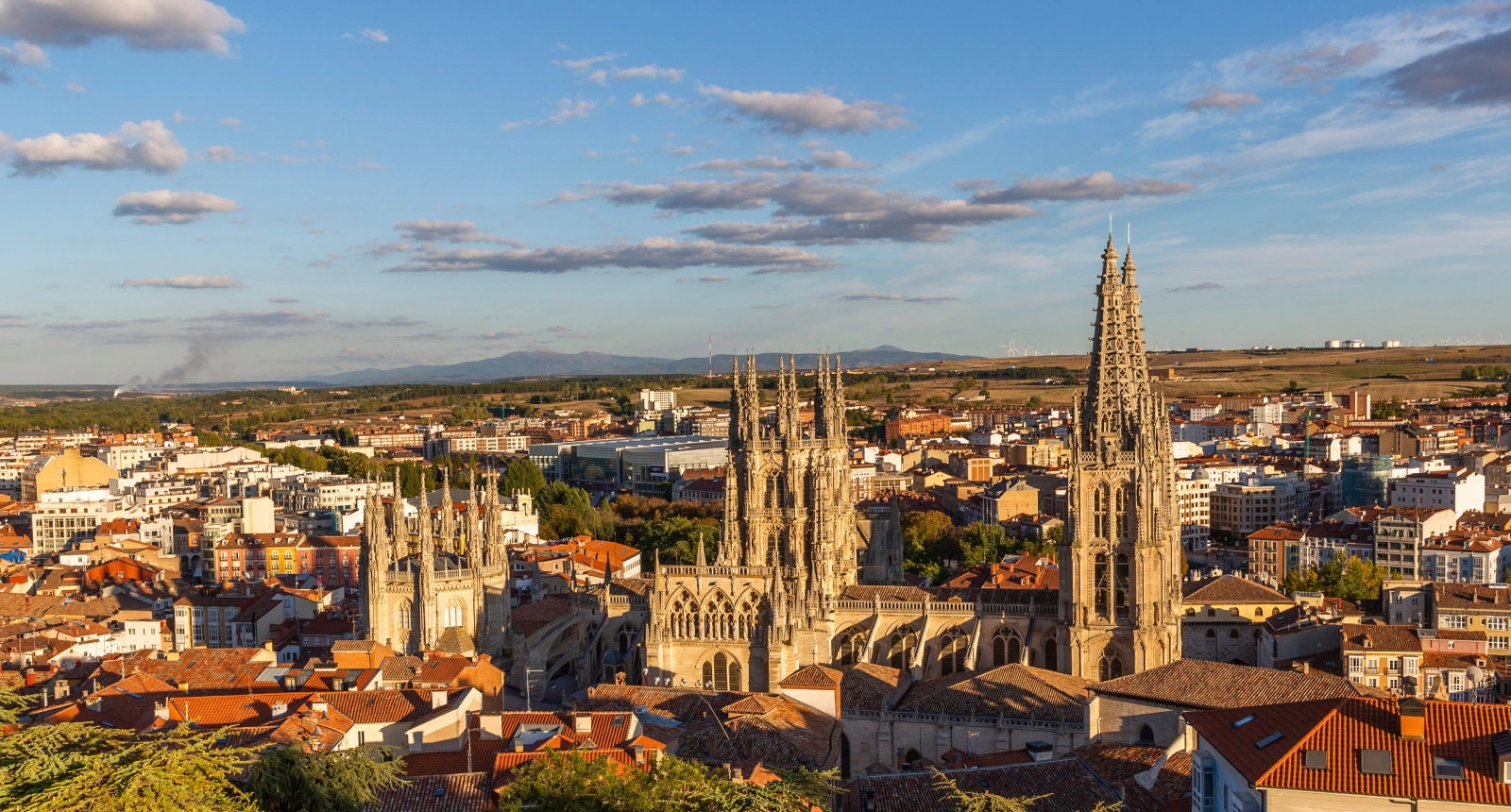 Vista panorámica de una ciudad con catedral gótica, rodeada de edificios y bajo un cielo azul con nubes.