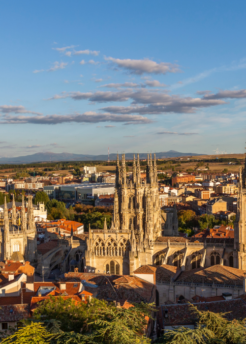 Vista panorámica de una catedral gótica entre tejados y campos a lo lejos, iluminada por el sol al atardecer.