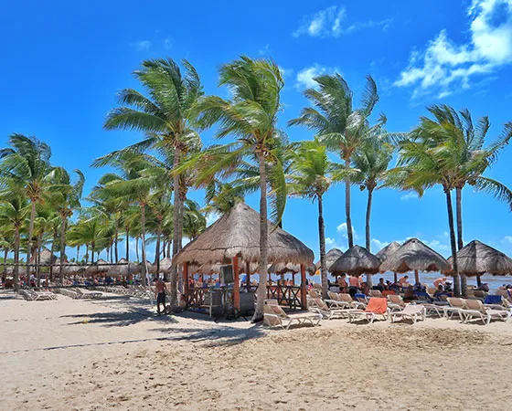 Playa con palmeras y cabañas de paja. Gente en camastros disfruta del sol. Cielo azul despejado.