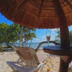 Silla de playa bajo sombrilla, copa en mesa y vista al mar con árboles.