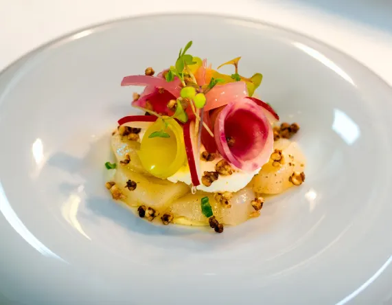 Plato gourmet con vegetales, brotes verdes y ingredientes crocantes en vajilla blanca.