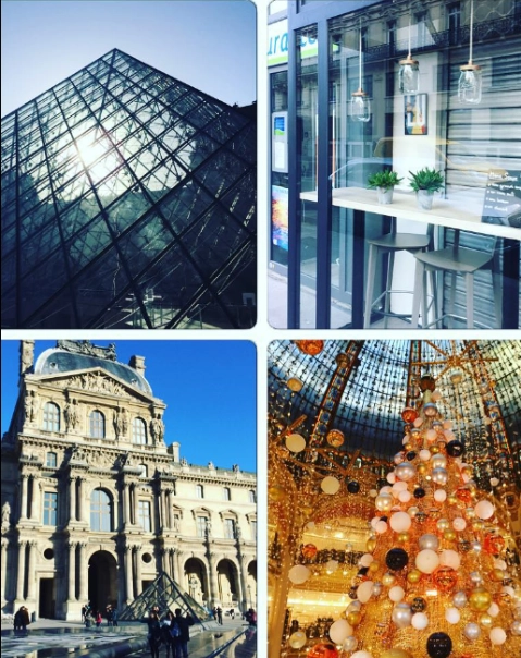 Quatre images : Pyramide de verre, café moderne, bâtiment classique, sapin sous dôme.