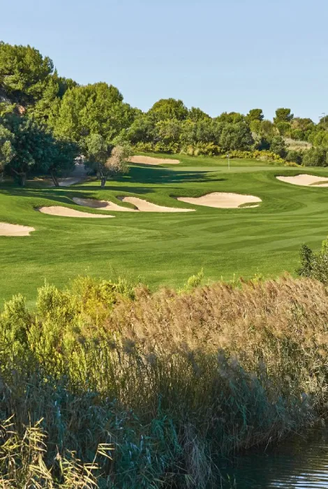 Campo de golf con césped verde y búnkeres de arena, rodeado de árboles y arbustos.