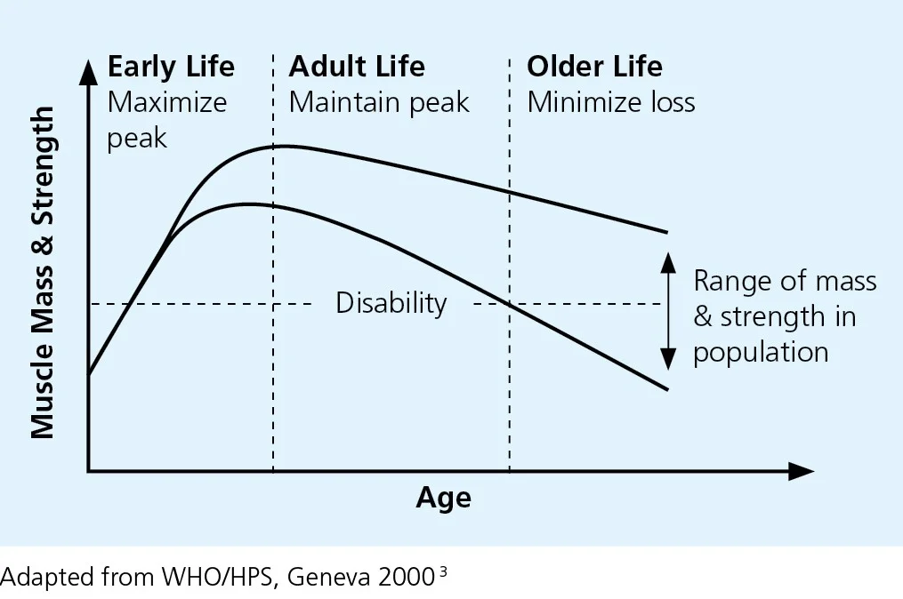 Blog - Longevity Wellness World Wide