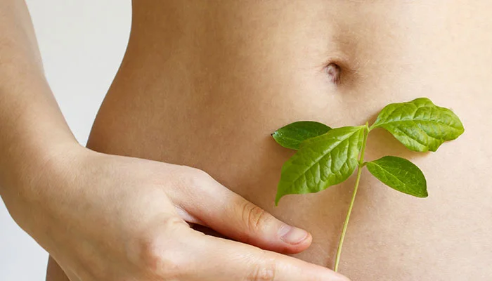 Scientific Views on Ageing - Longevity Wellness World Wide