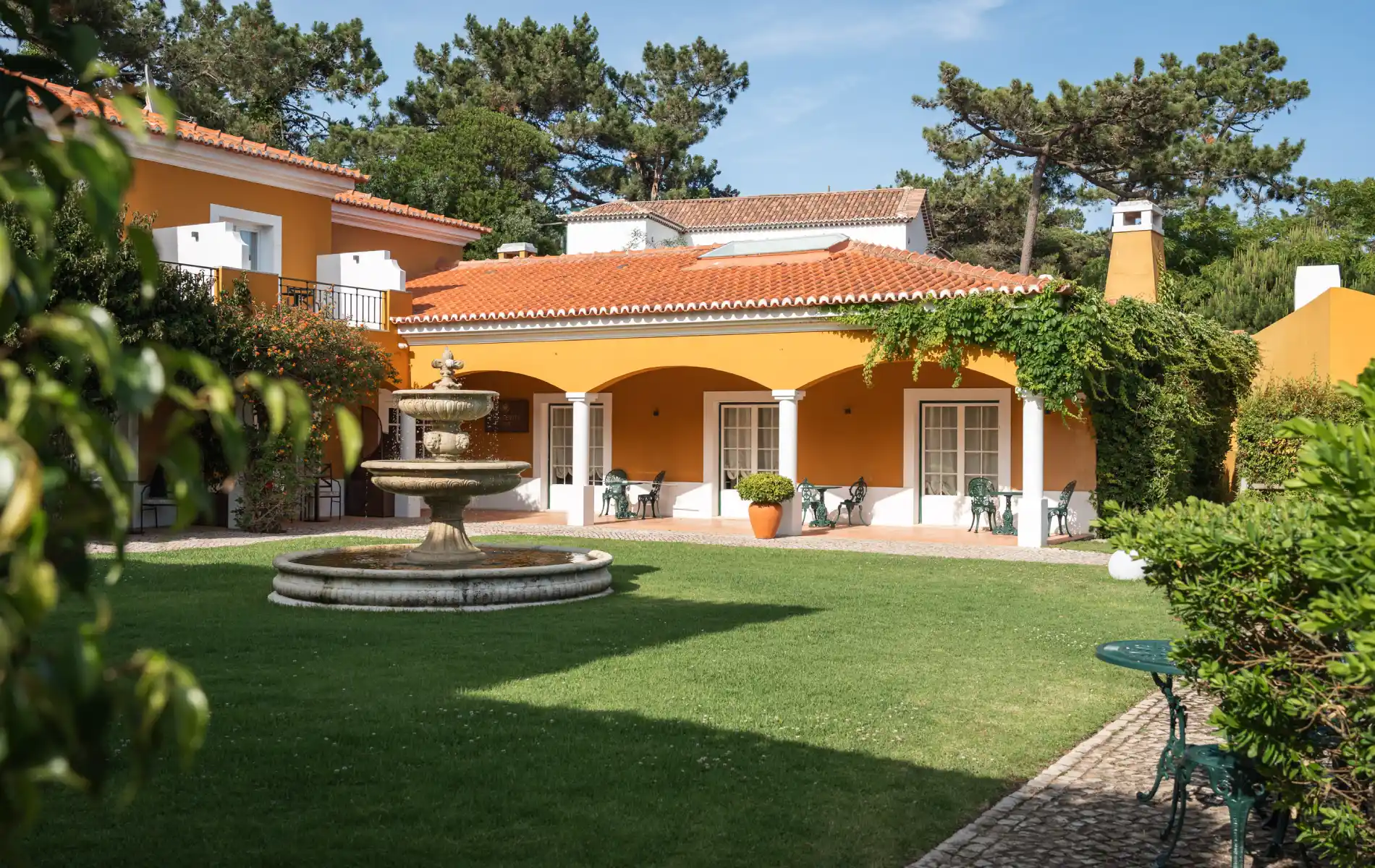 Longevity Wellness World Wide