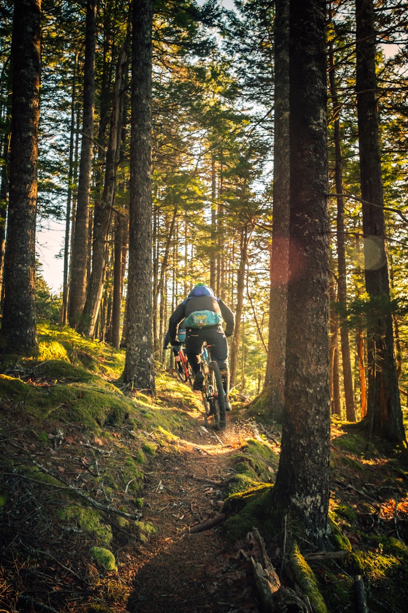 Persona en bicicleta de montaña recorriendo un sendero forestal soleado rodeado de árboles altos.