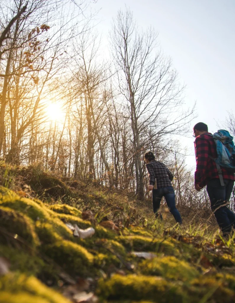 Dos personas caminando por un bosque en otoño con sol brillante entre los árboles y musgo en el suelo.