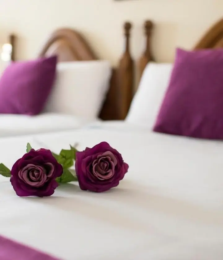 Dos rosas púrpuras sobre una cama con cojines del mismo color al fondo.